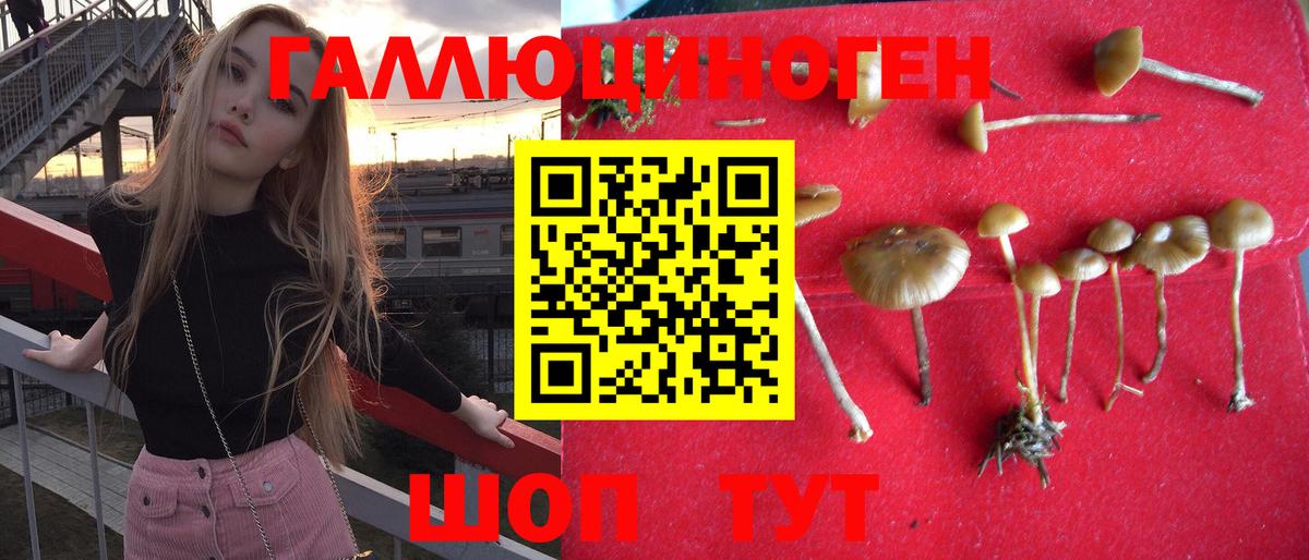 Галлюциногенные грибы ЛСД Заречный